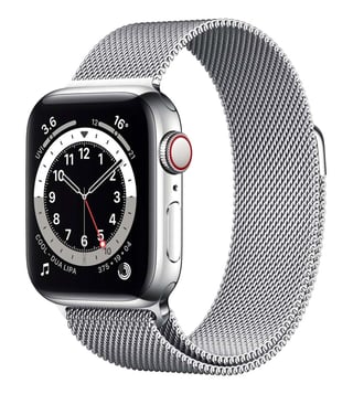 Buy Apple Watch Series 6 GPS Cellular 40mm Silver Milanese Loop Online Tata CLiQ Luxury