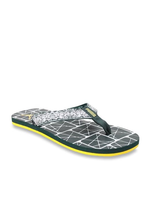 ferric idp flip flops