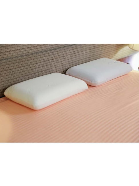 The White Willow White Regular Pillow with Cover - Set of 1