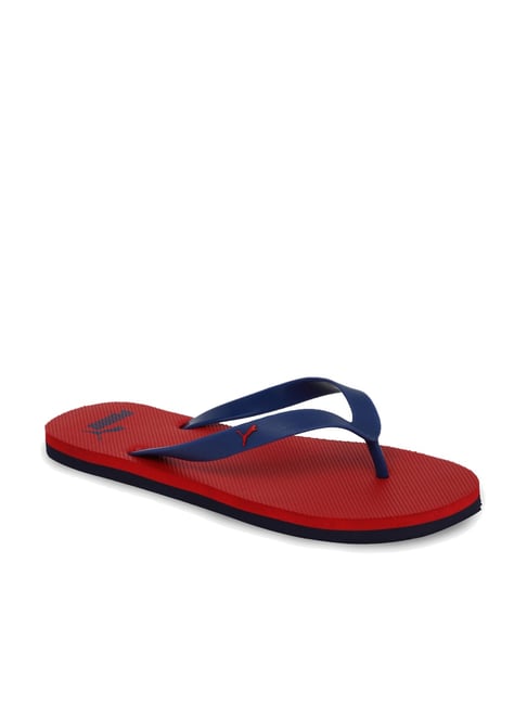 Buy Puma Odius DP Blue Indigo Red Flip Flops for Men at Best