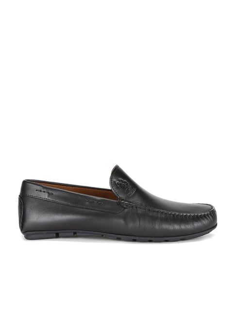 U.S. Polo Assn. Euclid Black Loafers 