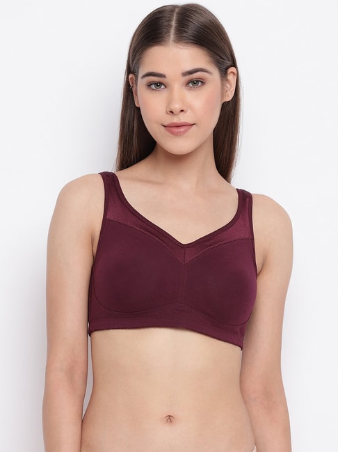 Enamor Grapewine Non Wired Non Padded T-Shirt Bra Price in India