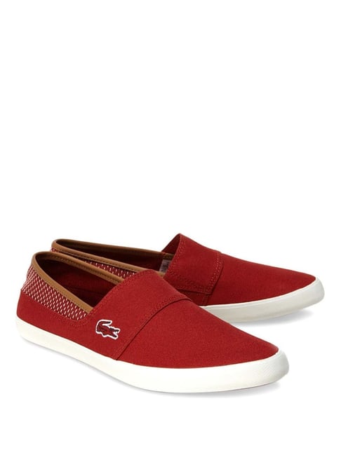 Mens lacoste sale slip on shoes