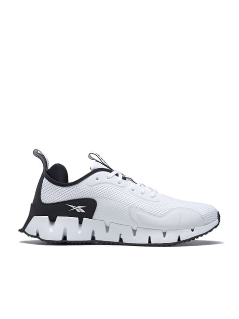 zig dynamica men's shoes review