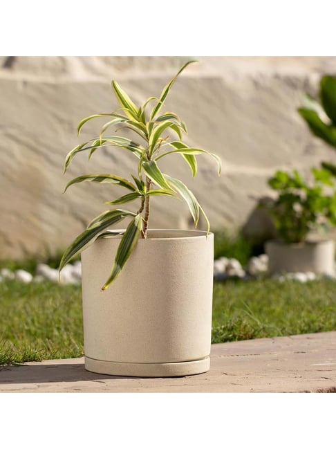 ellementry Ort Egg Shell Ceramic Planter - Set of 1