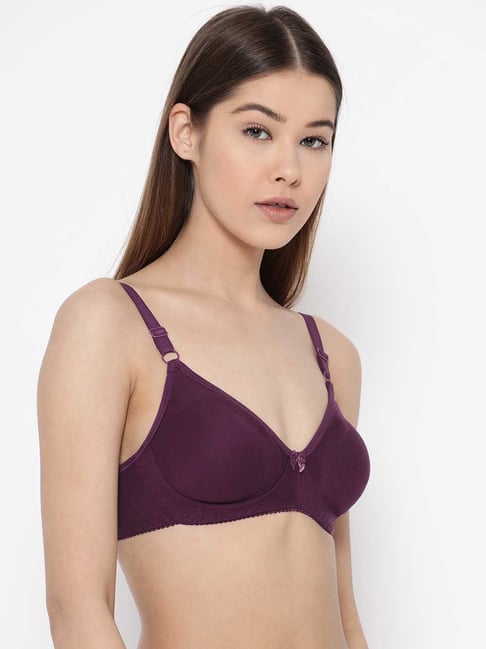 Lady Lyka Pack Of 2 Purple Printed Non Wired Lightly Padded T Shirt Bra Bras  7193462.htm - Buy Lady Lyka Pack Of 2 Purple Printed Non Wired Lightly  Padded T Shirt Bra