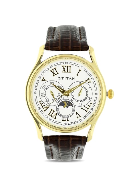 Titan NN1487YL01 Analog Watch for Men