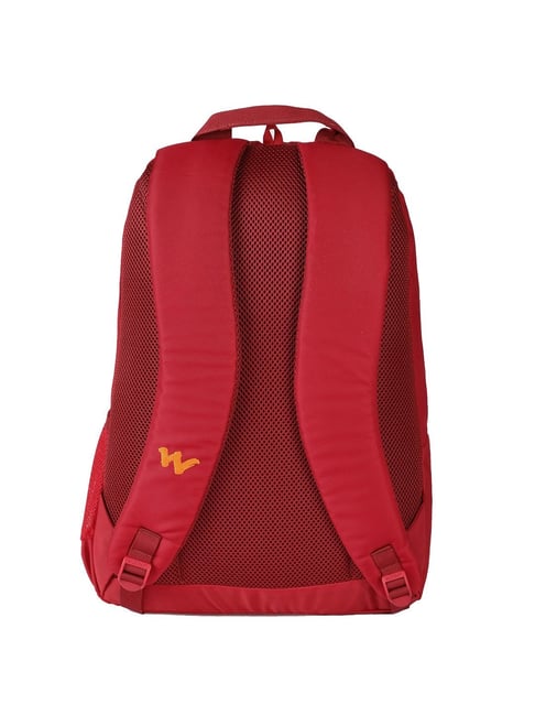 Wildcraft eiger 45 pro hot sale