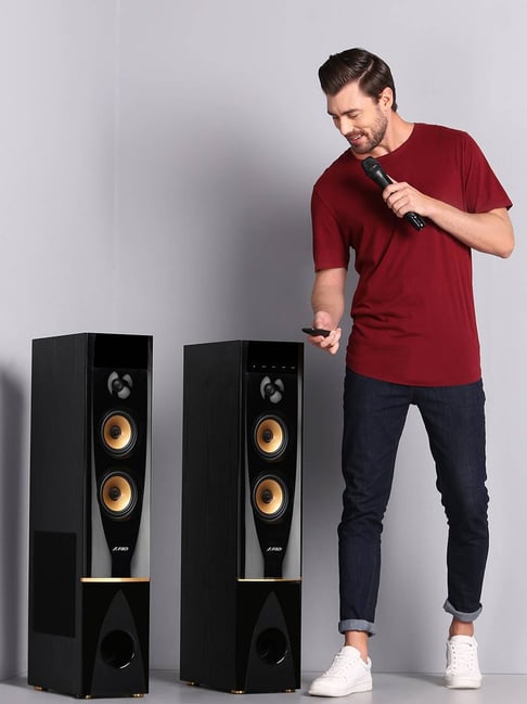 Buy F&D T88X 2.0 Channel 300W Bluetooth Tower Speaker (Black) Online At