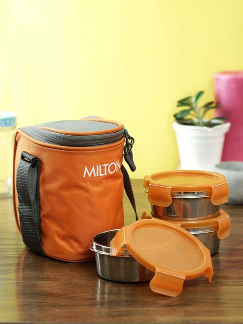 Milton Tasty Lunch 4 Stainless Steel Lunch Pack with Bag Black 1020 ml  Online in India, Buy at Best Price from Firstcry.com - 14738373