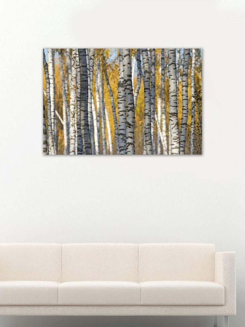 999store Grey & Yellow Birch Forest In Autumn Canvas Painting-picture-27