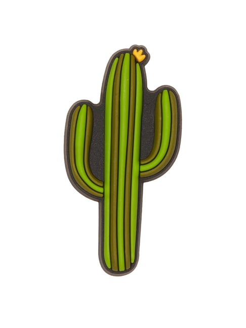 Cactus 2024 croc charm