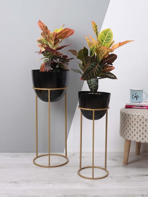 Aapno Rajasthan Black & Brown Metal Planters - Set of 2-picture-24