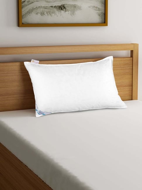 Buy Bianca Bamboo Micro-Gel White 100% Cotton Pillow Set of at