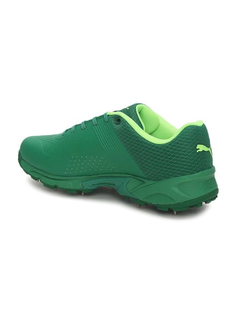 Puma Men s Spike 19.2 Amazon Green Cricket Shoes