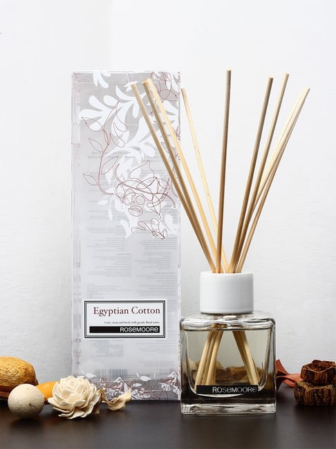 Best perfume 2024 diffuser