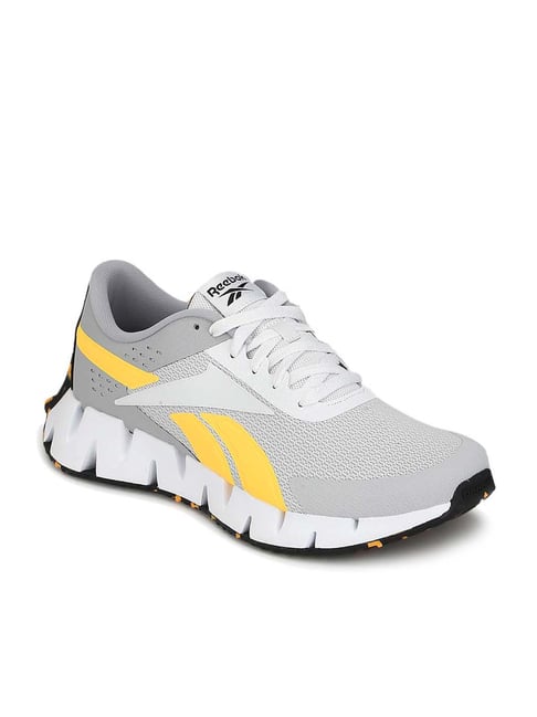 Buy Reebok Men's ZIG DYNAMICA 2.0 Grey Running Shoes for Men at Best