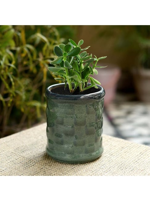 Unravel India Navy Blue & Pink Ceramic Glazed Table Top Planter - Set of 1-picture-13