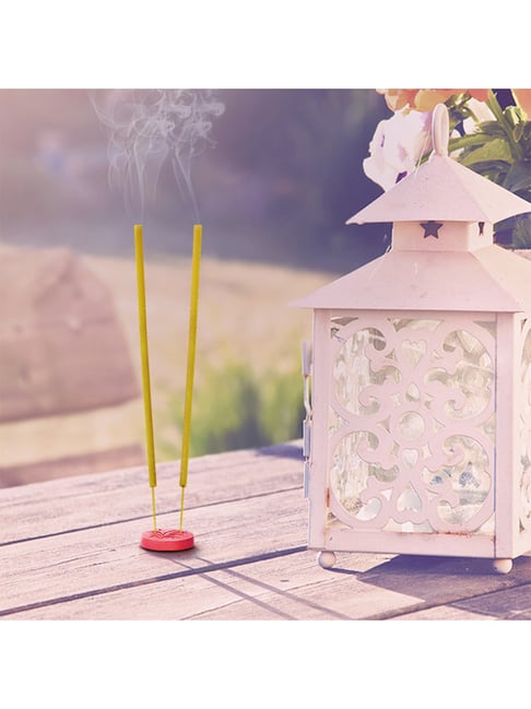 IRIS Yellow Citronella Garden Incense Sticks - 50 Pieces