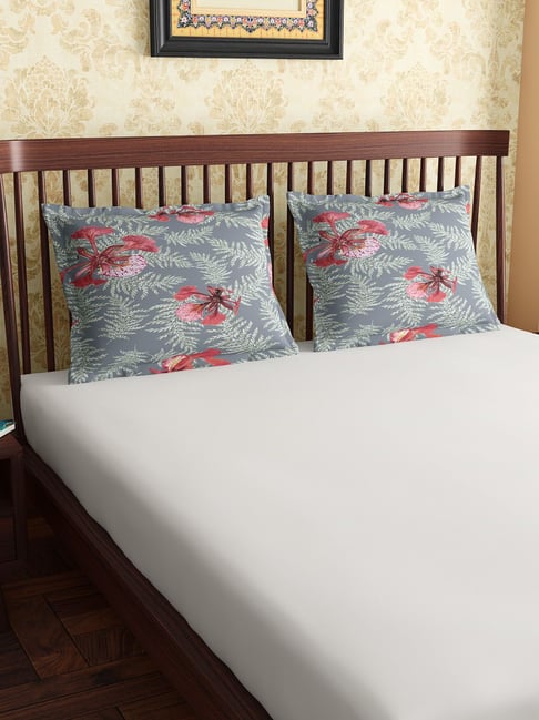 Petal Home Poinciana Teal 300 TC Cotton Pillow Covers - Set of 2
