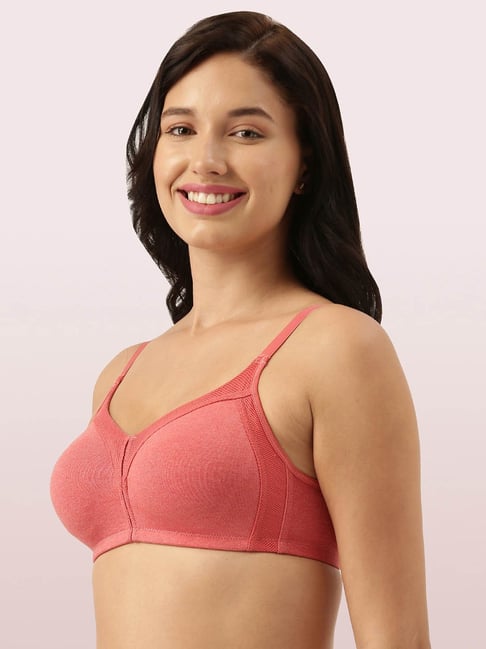 Enamor Maroon Lace Padded Bra