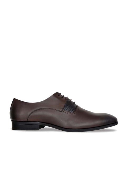 Allen Cooper Men's Brown Oxford Shoes