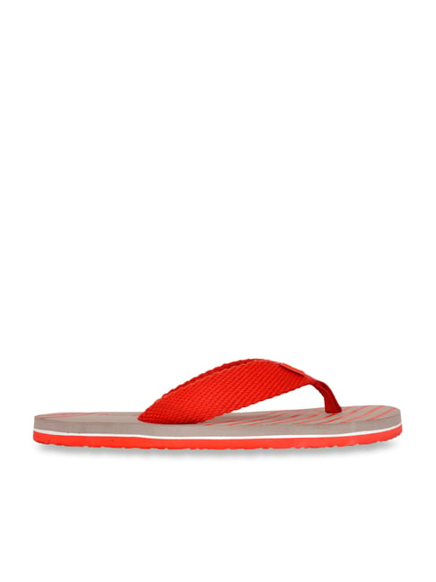 Allen Cooper Men's Red & Grey Flip Flops-picture-33