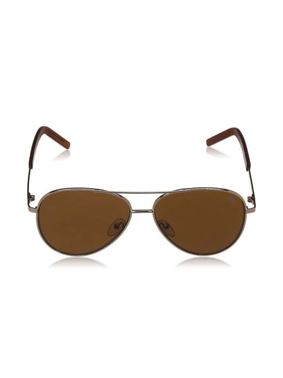 Dark brown store aviator sunglasses