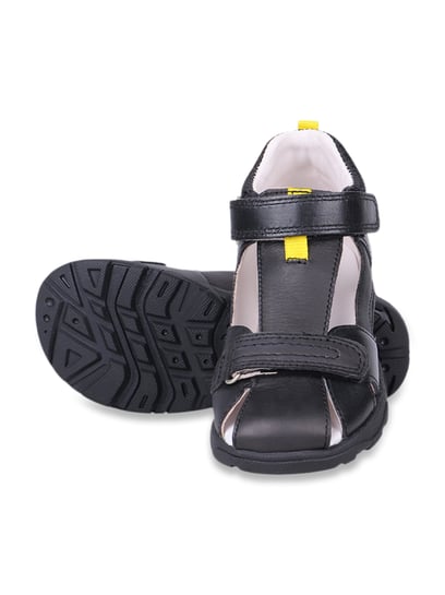 Buy Navy Blue Sandals for Men by Campus Online | Ajio.com