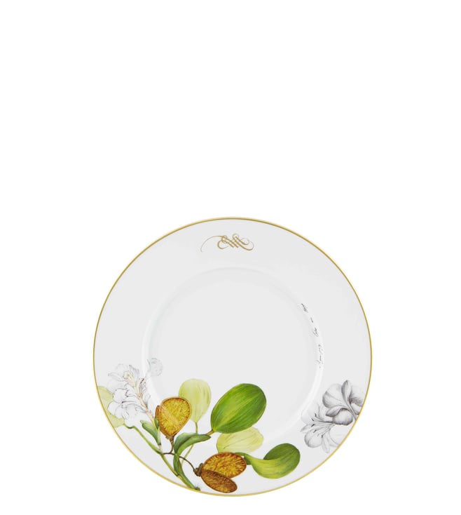 Buy Vista Alegre 24Piece Multi Porcelain Amazonia Dinner Set Online