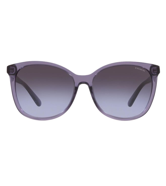 Buy Coach Purple Wayfarer Sunglasses For Women Only At Tata Cliq Luxury