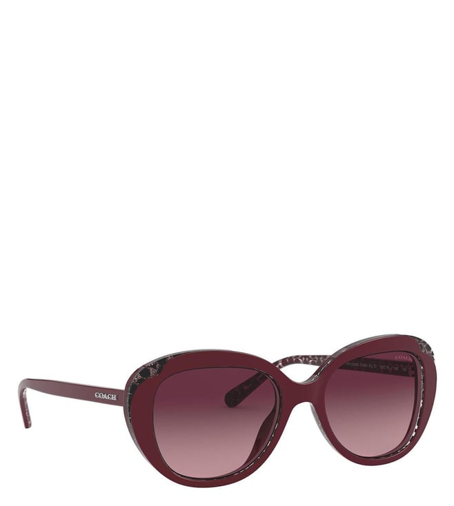 coach butterfly sunglasses