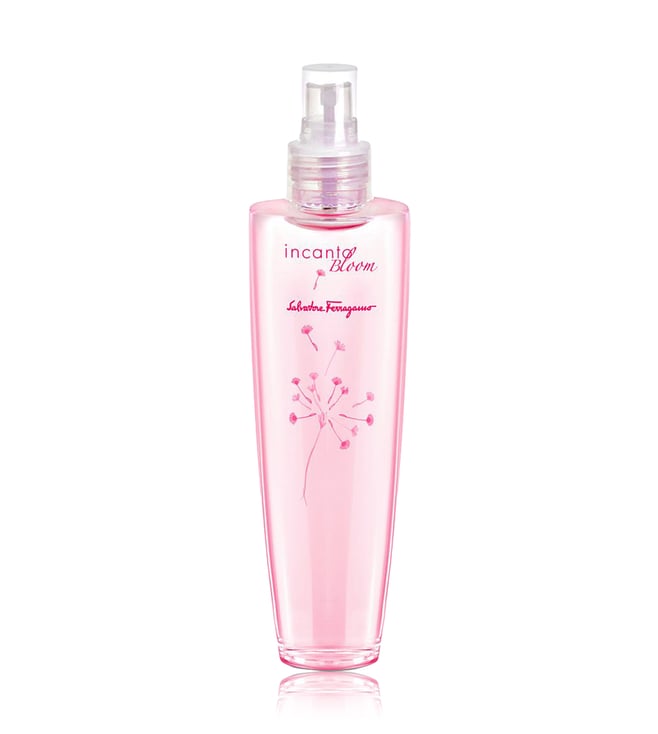 Incanto charms body mist hot sale