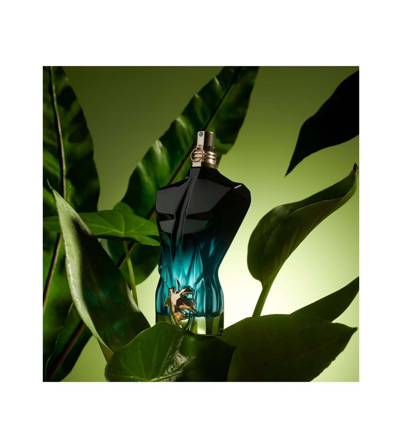 Jean Paul Gaultier Le Beau, Fragrance Sample