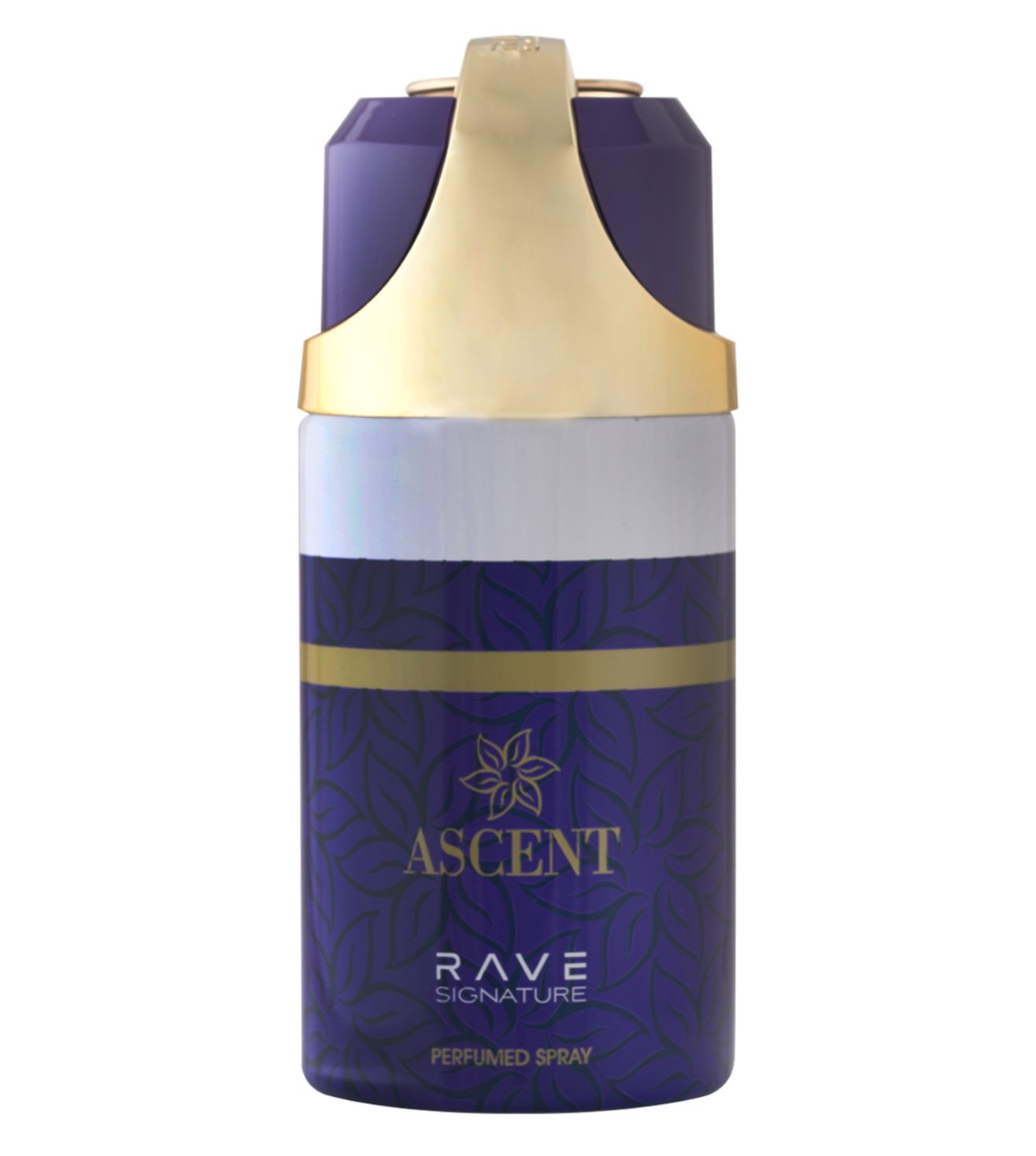 Buy Rave Signature Ascent Perfumed Spray, 250ml Online at Low Prices in  India 