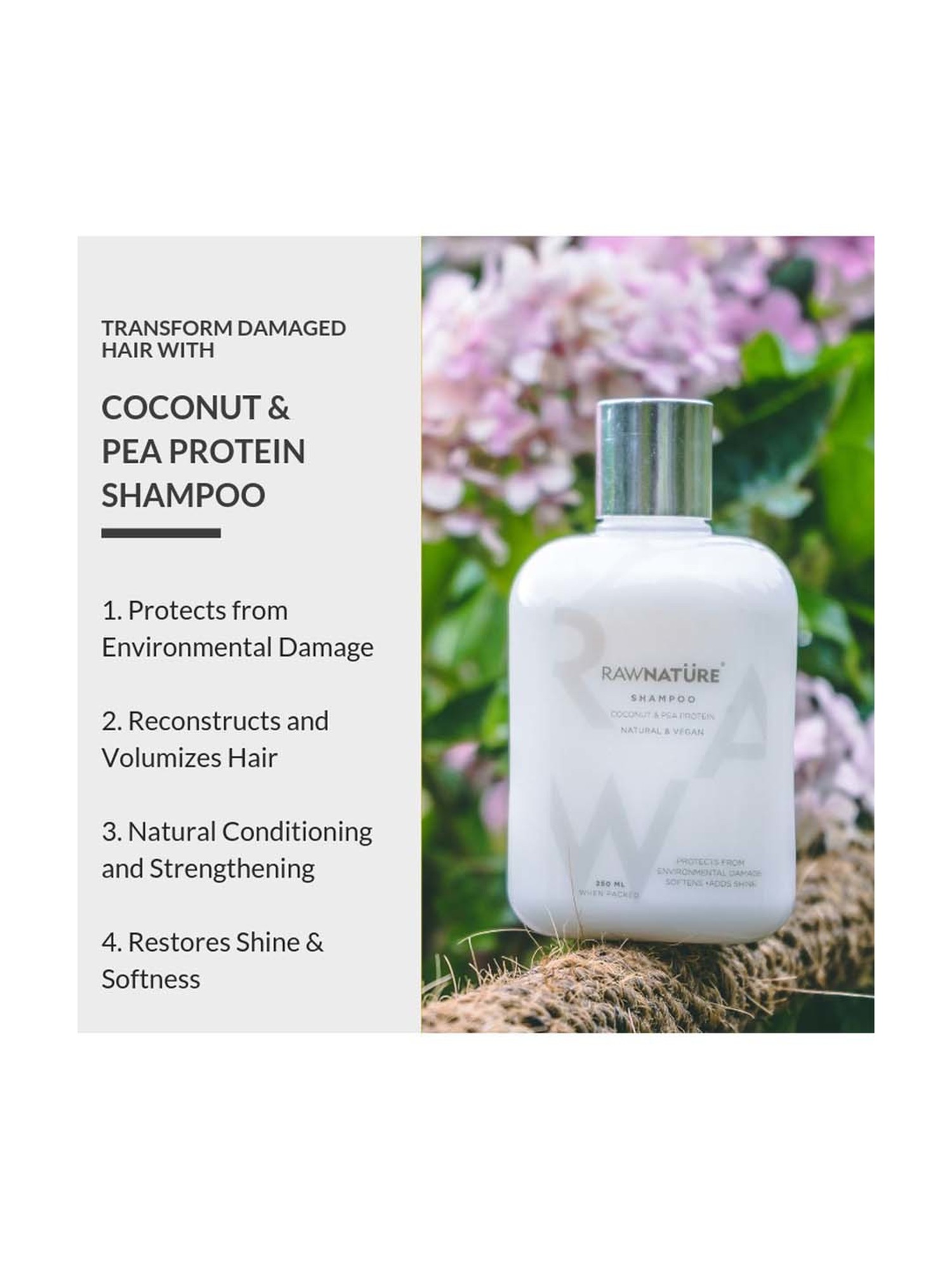 Buy RawNature Natural Coconut & Pea Protein Shampoo - 250 ml Online At Best  Price @ Tata CLiQ