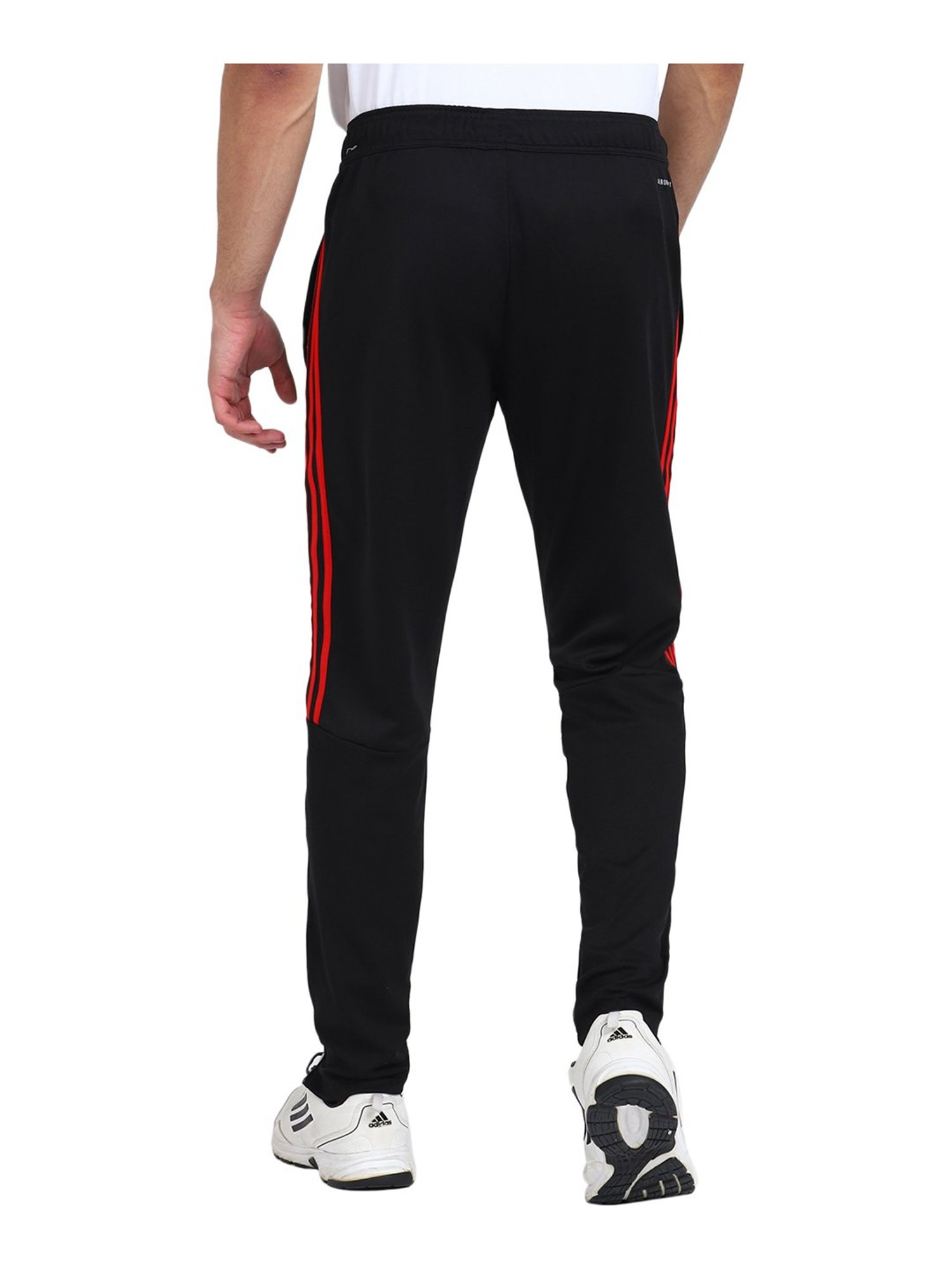 MP000000012232155_1348Wx2000H_