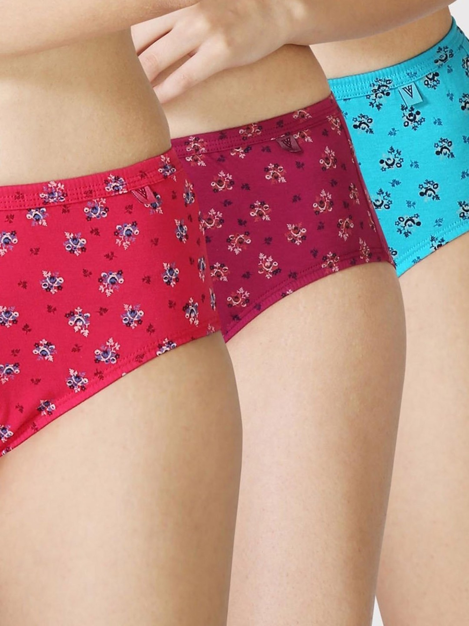 Buy Assorted Panties for Women by VAN HEUSEN Online