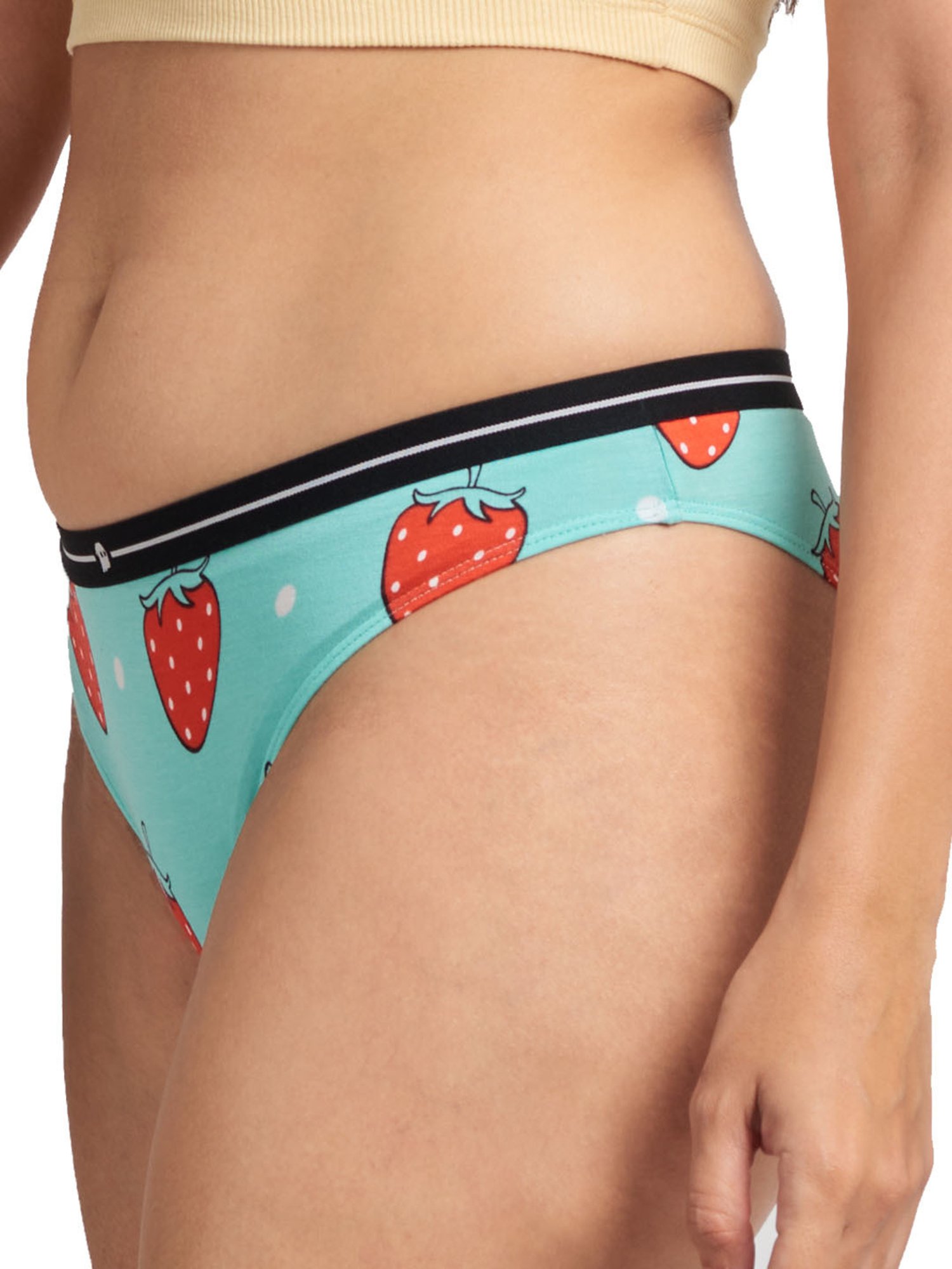 Buy Stashitware 3 Pair Hide Your Cash Bikini Brief, Women's Underwear Secret  Stash Pockets Online at desertcartINDIA
