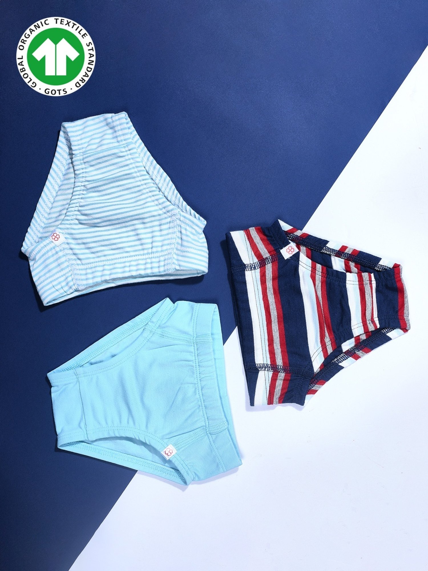 Buy Greendigo Kids Blue & Red Striped Briefs for Boys Clothing Online @  Tata CLiQ