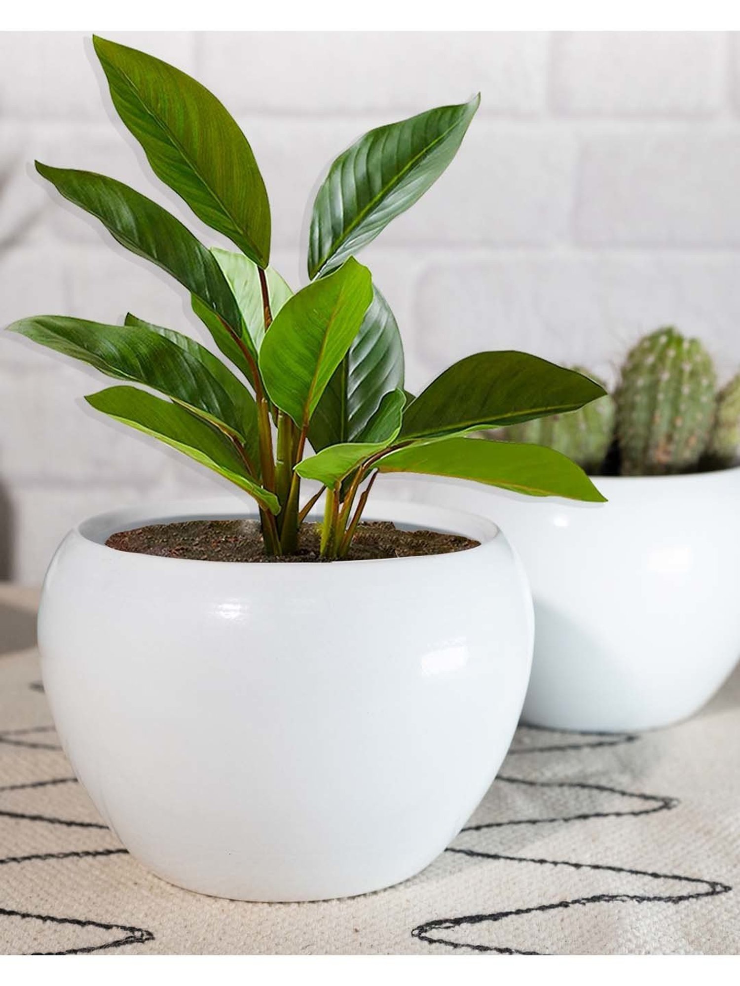 MP000000014384206_1348Wx2000H_