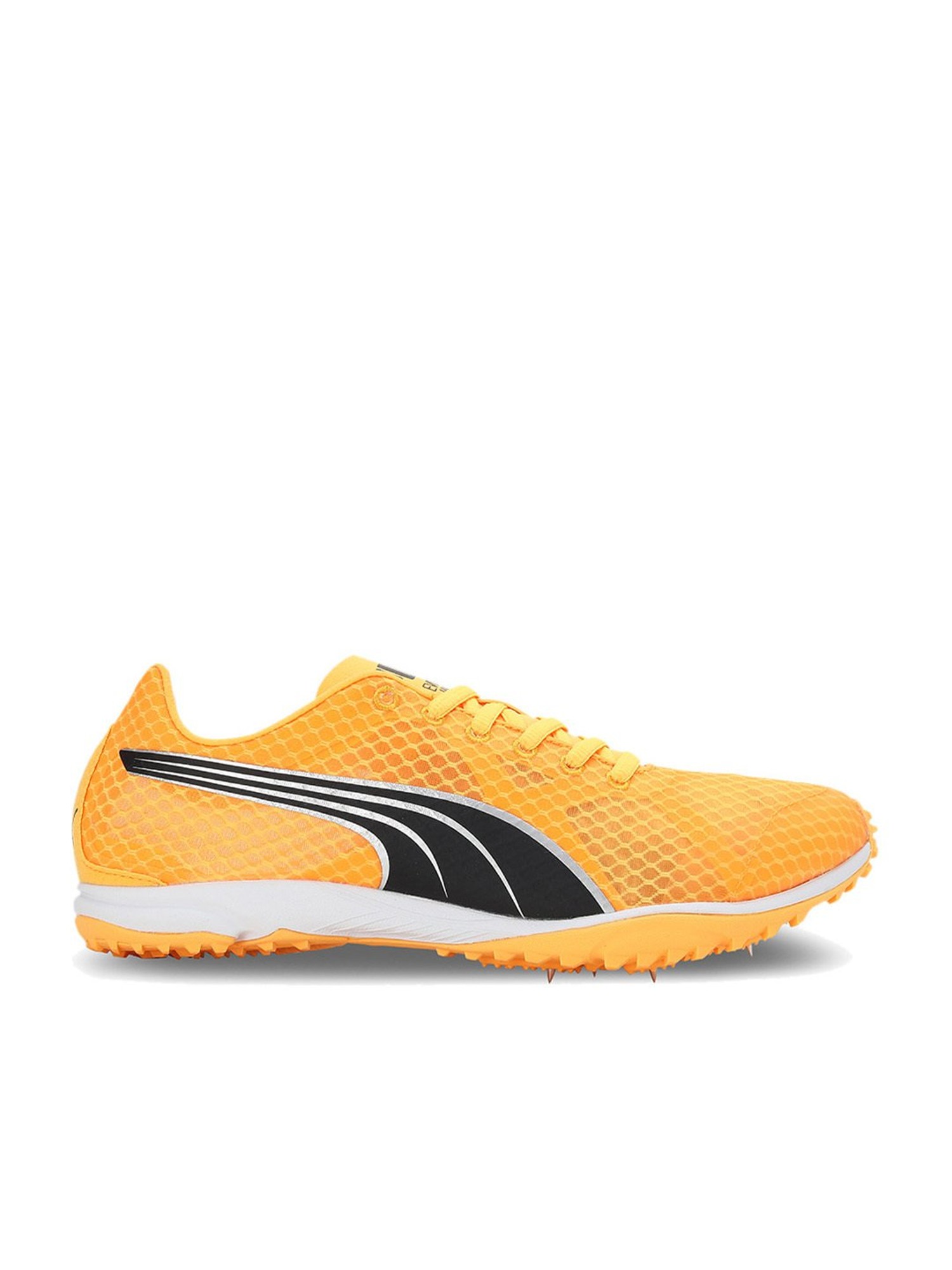 capoc bombilla Están familiarizados Buy Puma Men's evoSPEED Haraka 7 Orange Running Shoes for Men at Best Price  @ Tata CLiQ