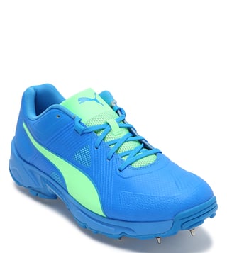 Puma cricket sales shoes blue