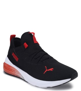 cell vive evo puma