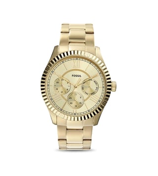 Fossil chapman online watch