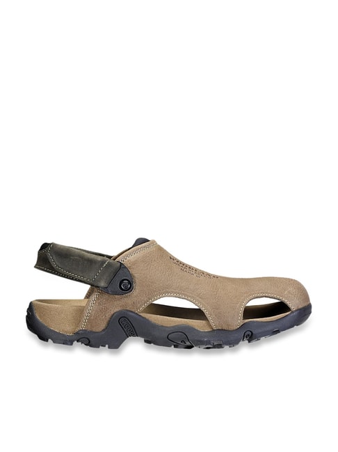 Buy Woodland Sandals For Men  Black  Online at Low Prices in India   Paytmmallcom