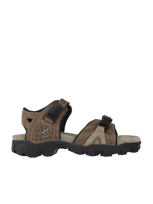 Buy WOODLAND Tan Mens Leather Velcro Closure Sandals | Shoppers Stop