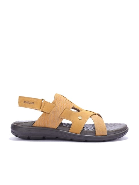 Buy Woodland Sandals For Men ( Tan ) Online at Low Prices in India -  Paytmmall.com