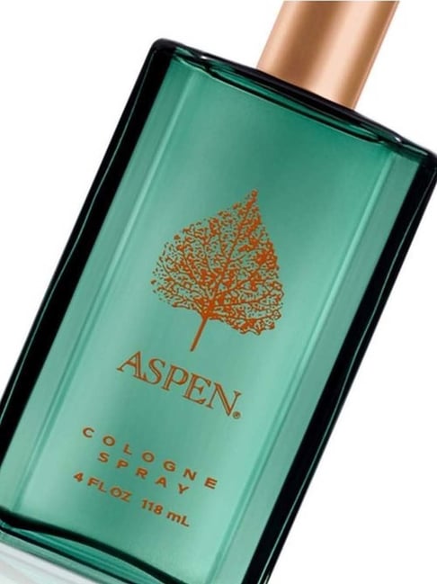 HOT 118 Ml Coty Aspen Buy Aspen Eau De Cologne For Men 118
