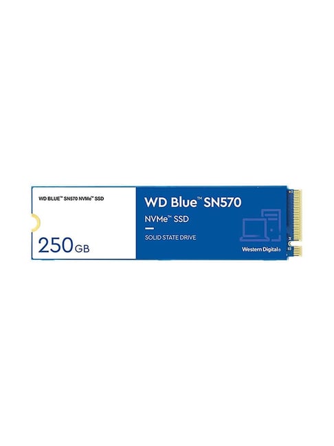 WD WDS250G3B0C 250GB M.2 PCIe NVMe  SSD (Blue)